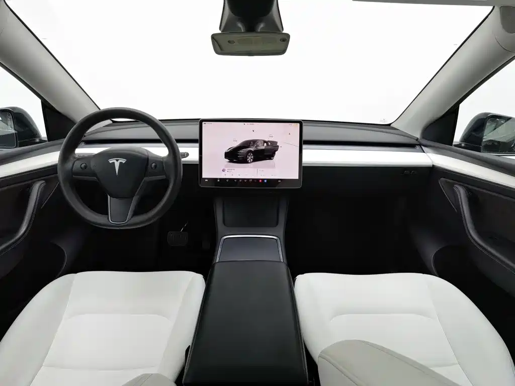 Tesla Model Y — миниатюра 5