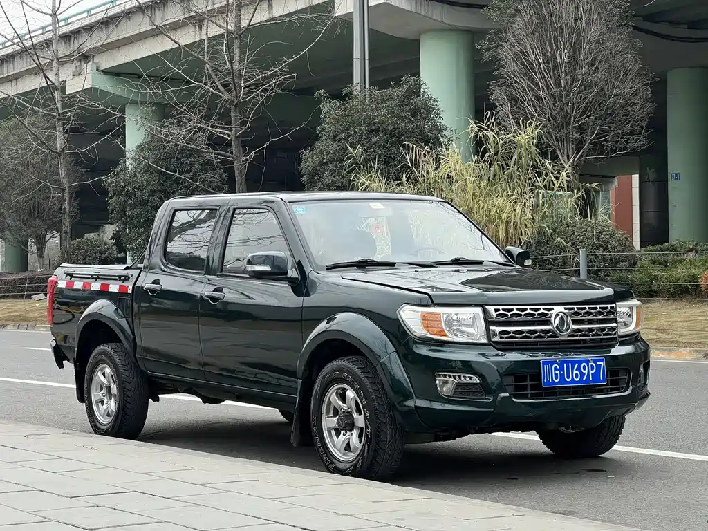 DONGFENG RUIQI