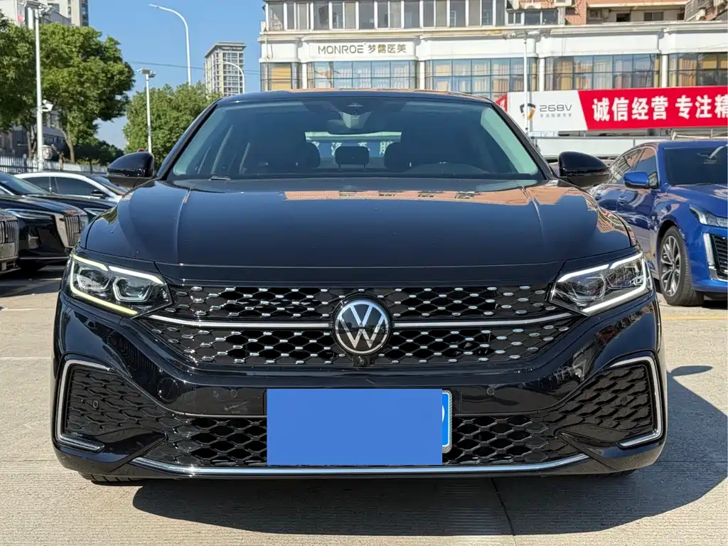 Volkswagen Passat — миниатюра 2