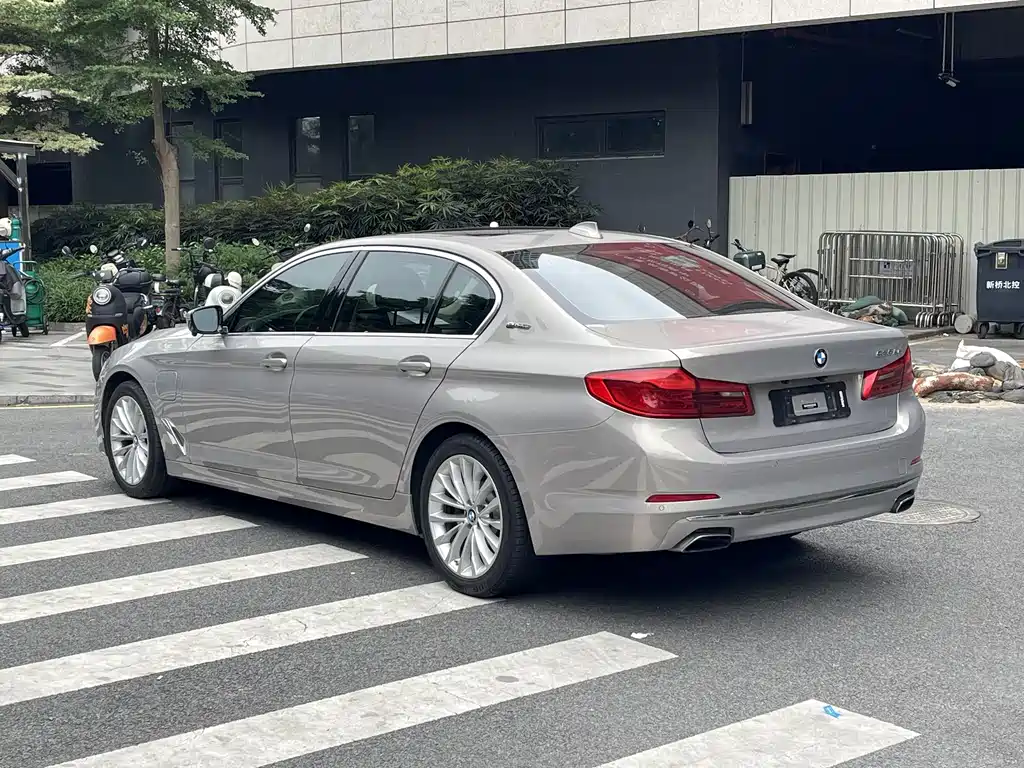 BMW 5 Series 5 2019 530Le Luxury