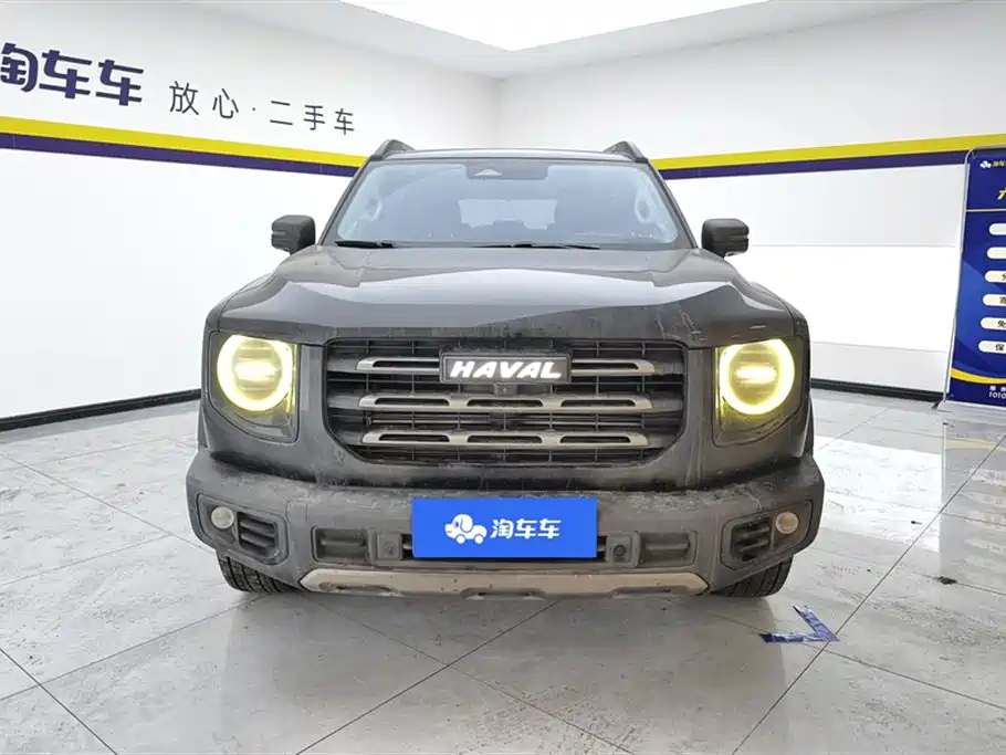 HAVAL BIG DOG