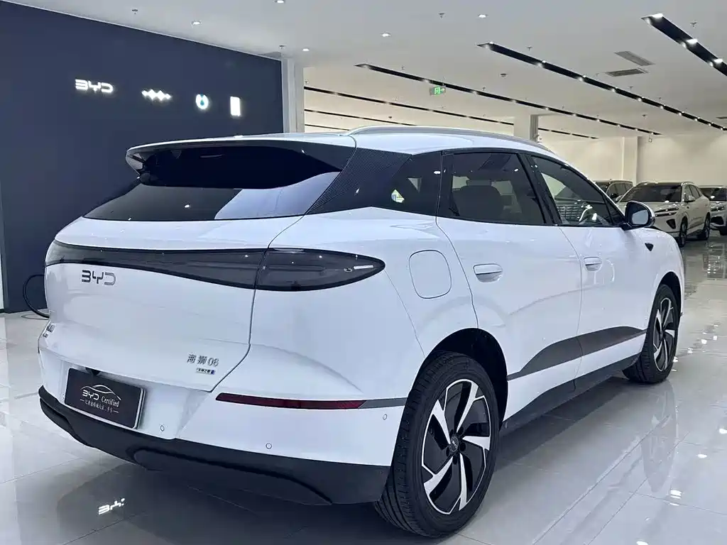 BYD Sealion 06 — миниатюра 12