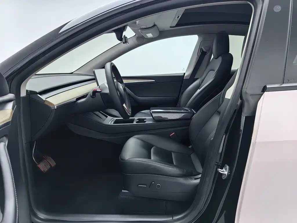 Tesla Model Y — миниатюра 10