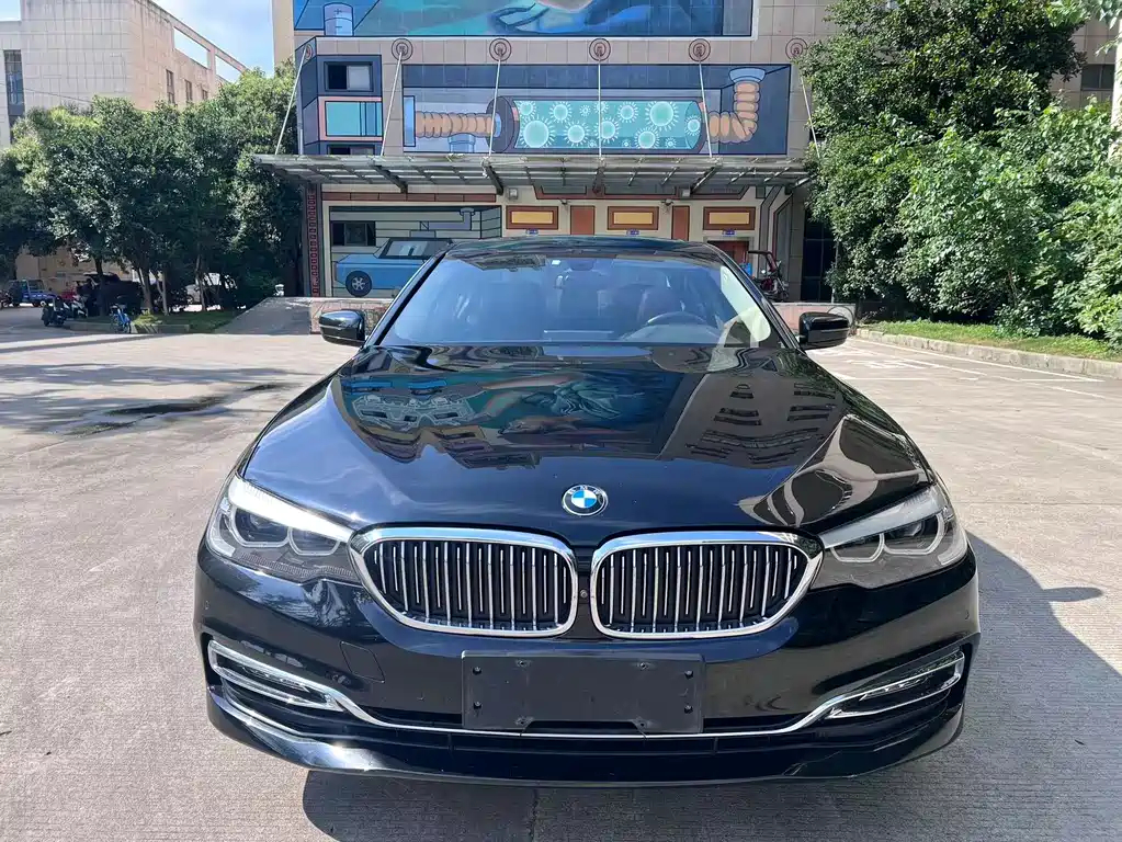 BMW 5 Series 5 2018 530Li xDrive Luxury