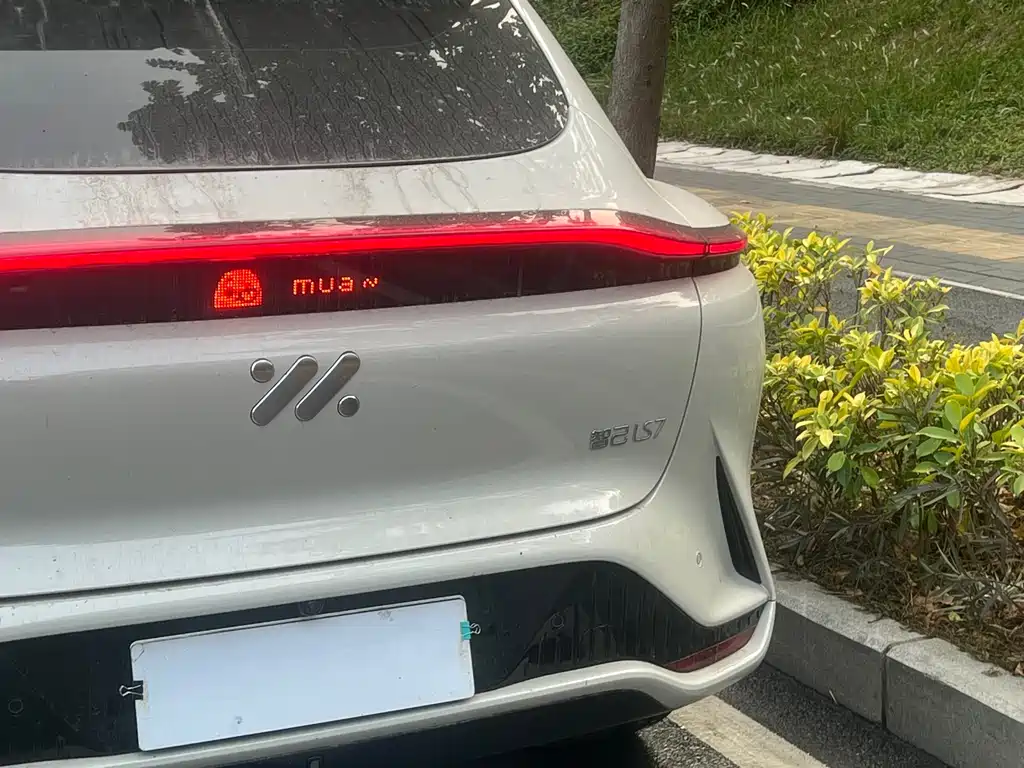 ZHIJI AUTOMOBILE ZHIJI LS7