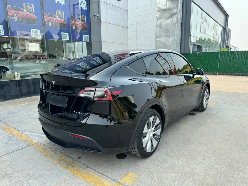 Tesla Model Y — миниатюра 15