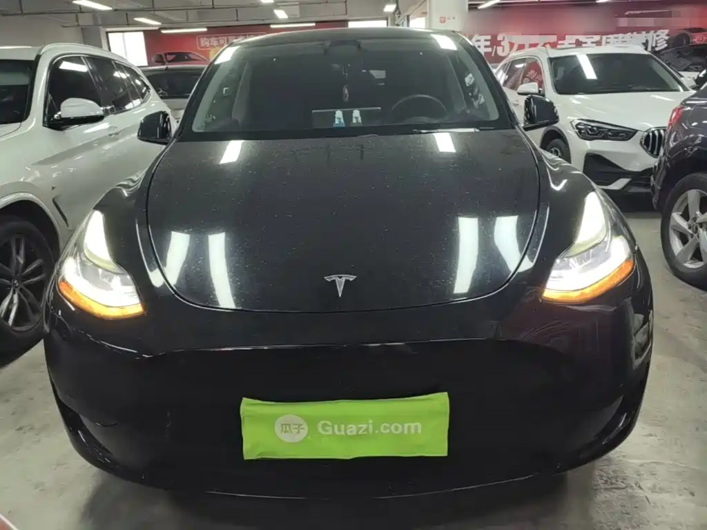 Tesla Model Y — миниатюра 3
