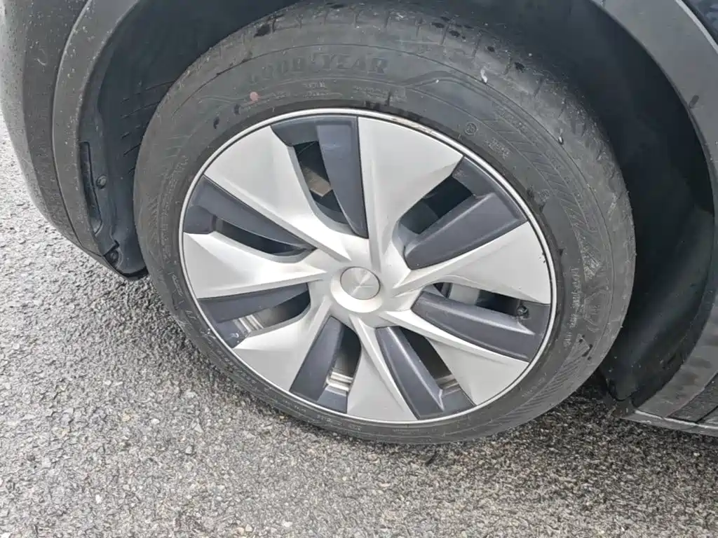 Tesla Model Y — миниатюра 23