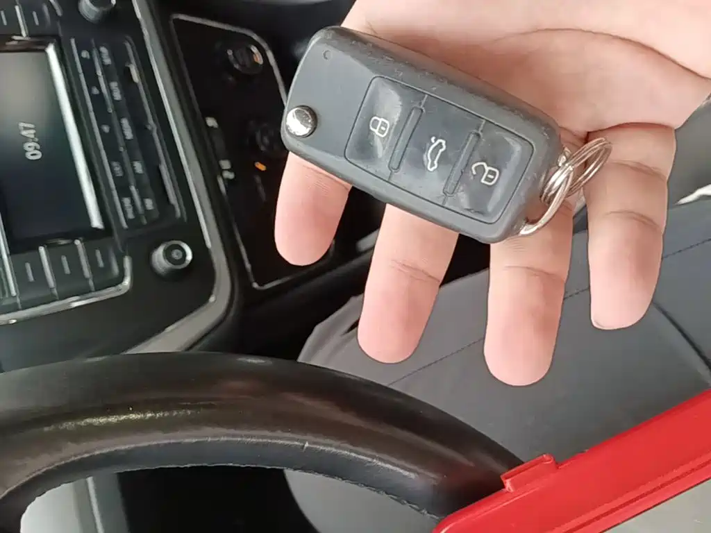 Volkswagen Gran Lavida — миниатюра 9