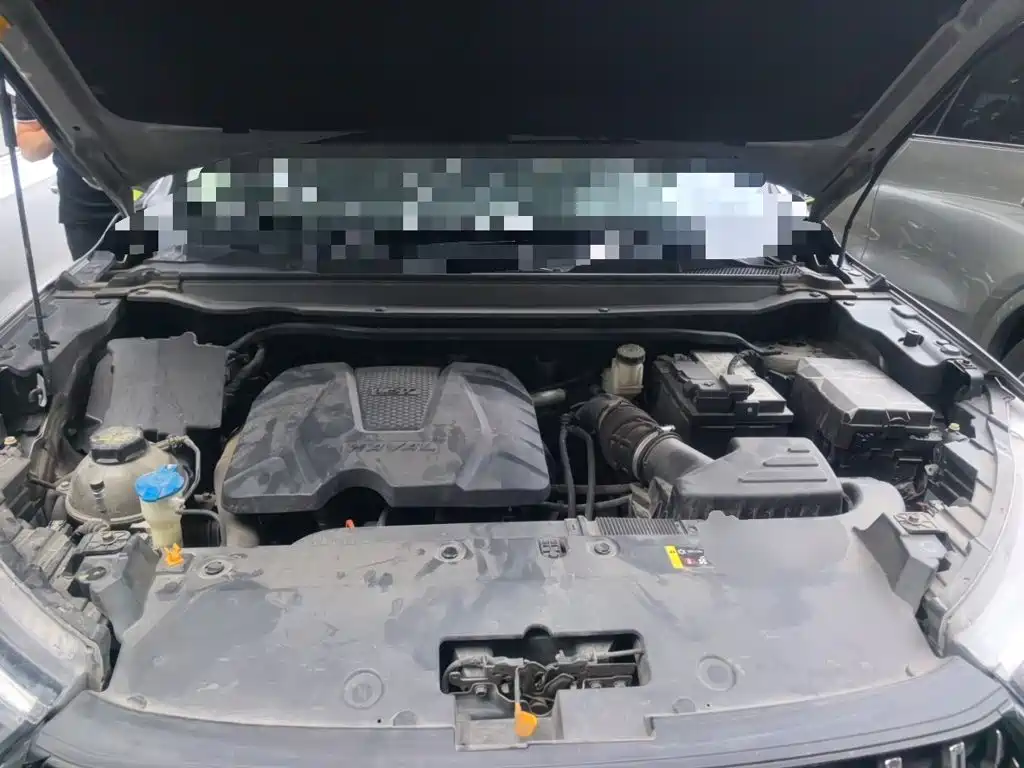 Haval Chitu — миниатюра 16