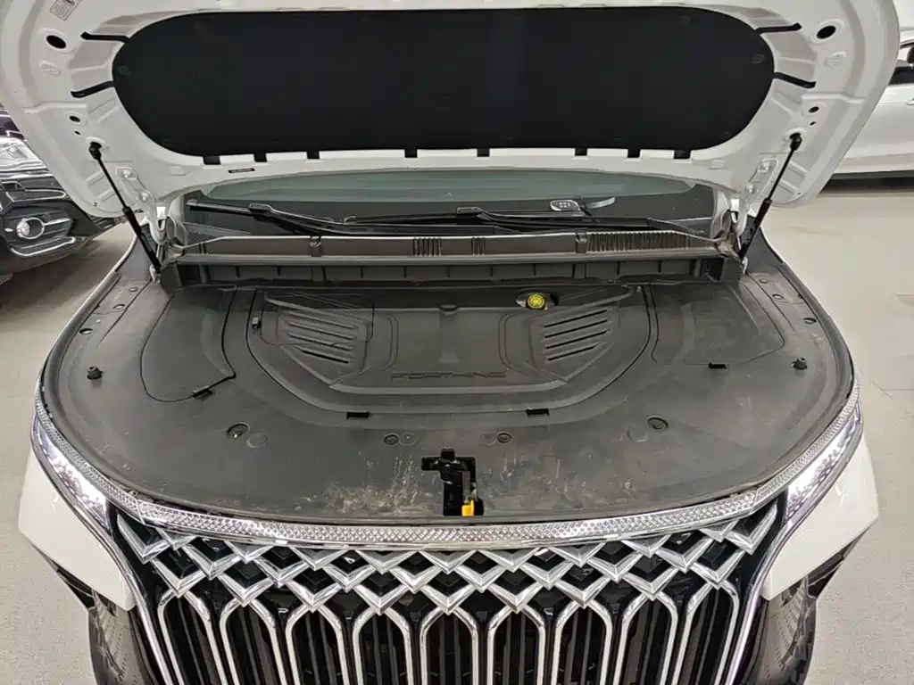Fengxing Xinghai V9 — миниатюра 20