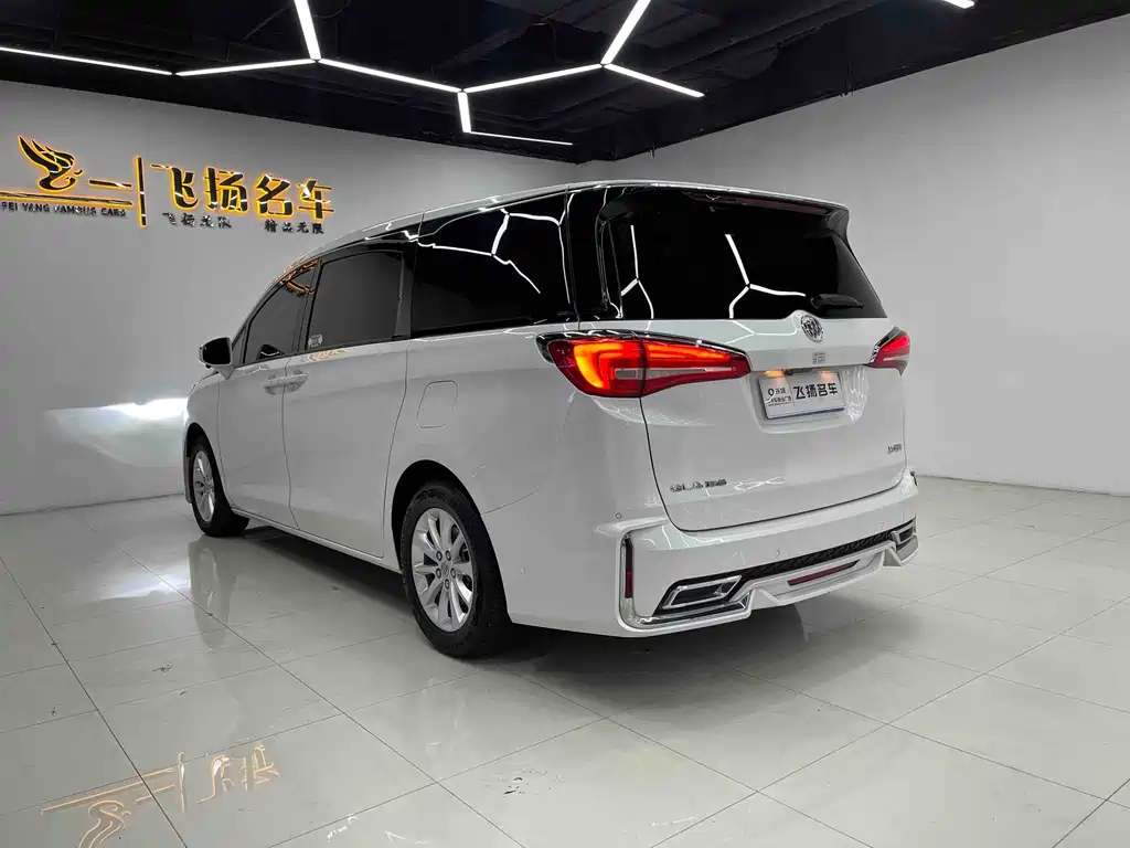 Buick GL8 — миниатюра 16