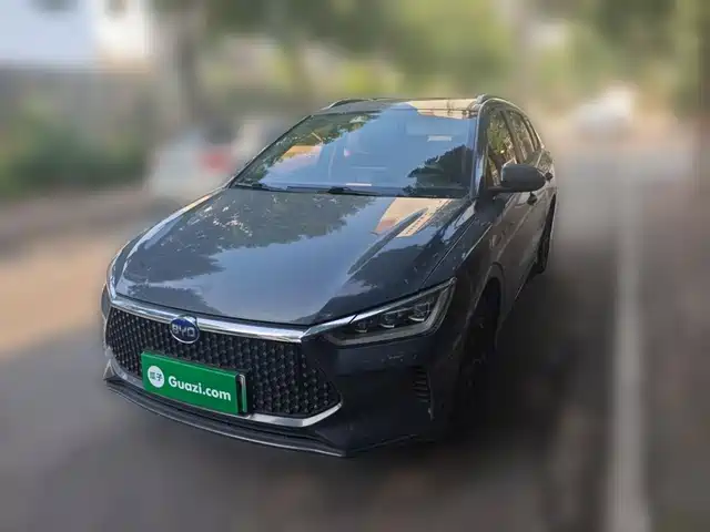 2020 BYD e2