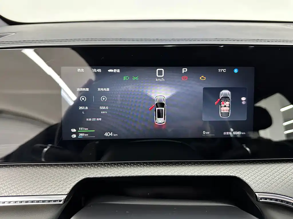 BYD SONGJIANG NEW ENERGY