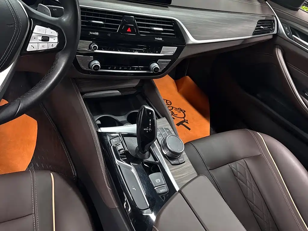 BMW 5 Series 5 2020 530Li xDrive Luxury