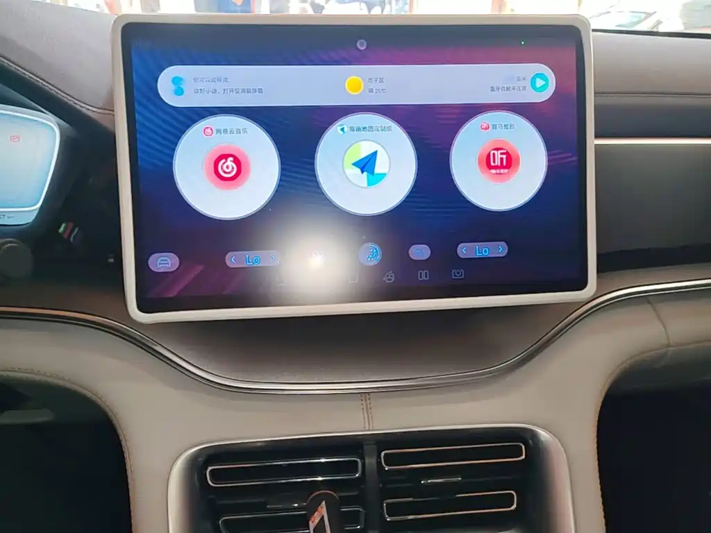 BYD PLUS New Energy — миниатюра 13