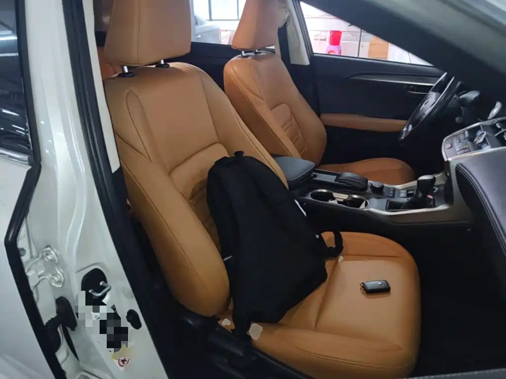 Lexus NX — миниатюра 25