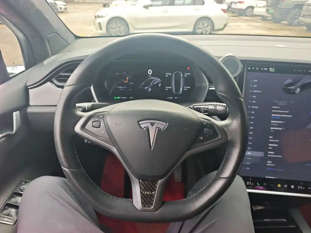 Tesla Model X — миниатюра 6