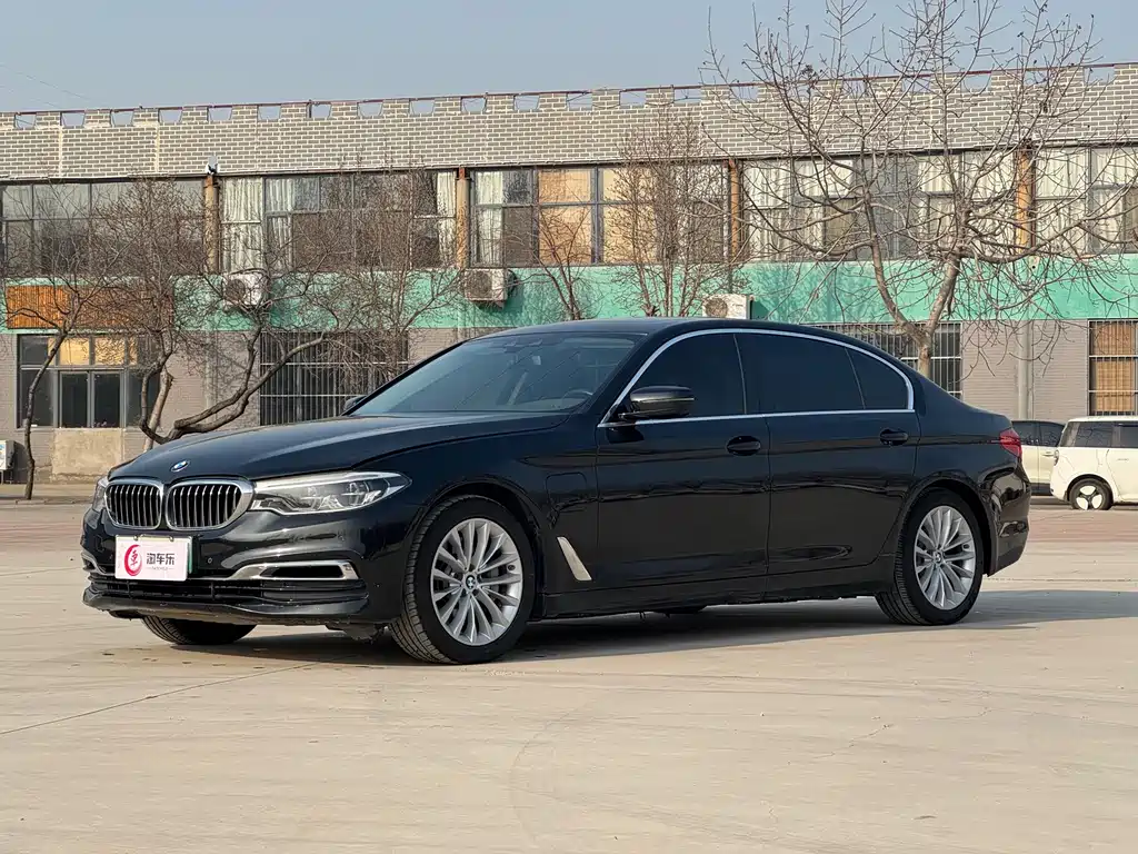 BMW 5 Series New Energy 2019