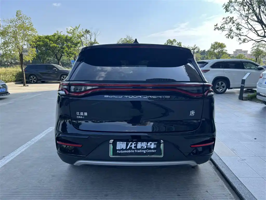 BYD Tang New Energy — миниатюра 8