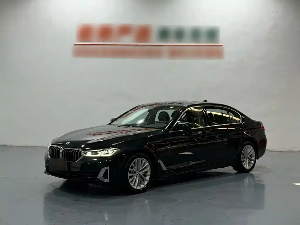 BMW 5 Series New Energy — миниатюра 2
