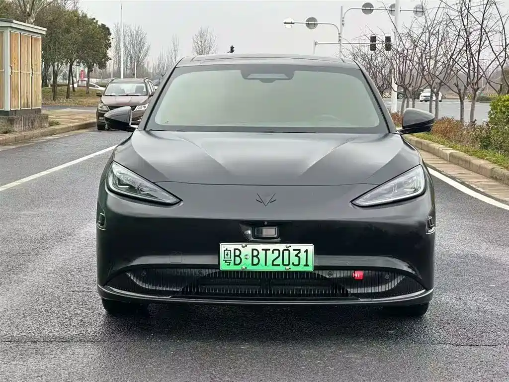 ARCFOX EXTREME FOX POLAR FOX ALPHA S