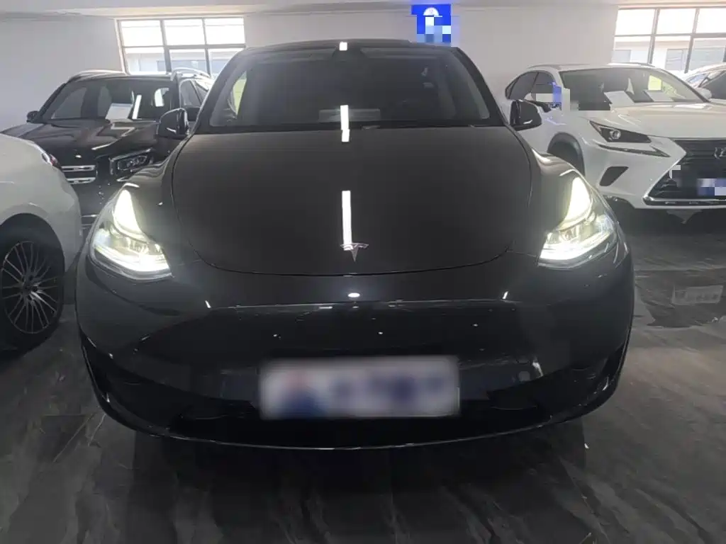 Tesla Model Y — миниатюра 3