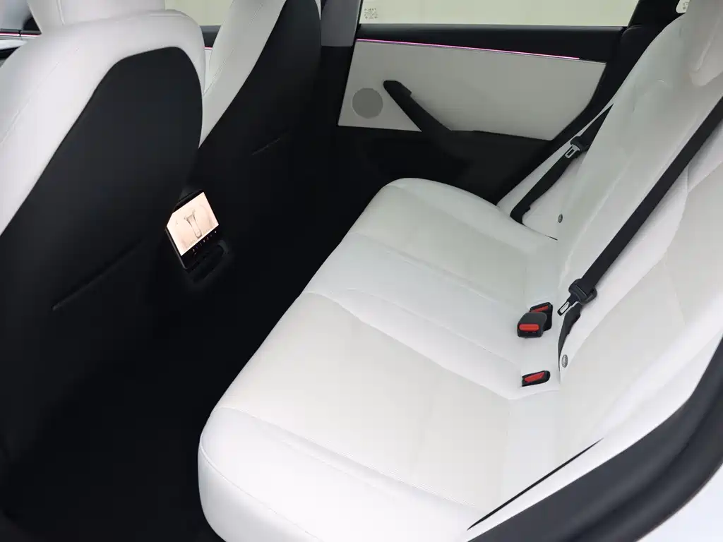 Tesla Model 3 — миниатюра 13