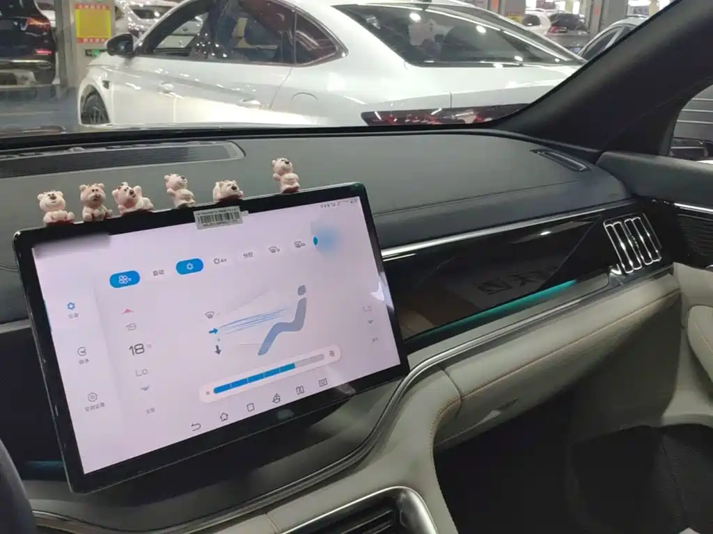 BYD PLUS New Energy — миниатюра 10