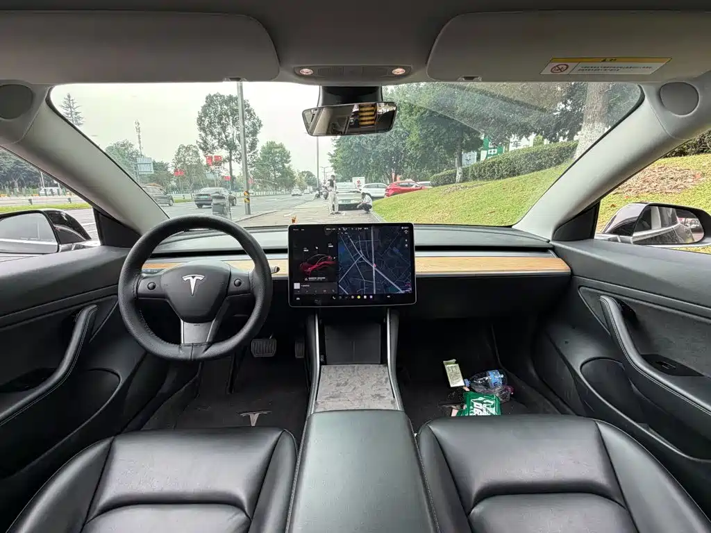 Tesla Model 3 — миниатюра 13