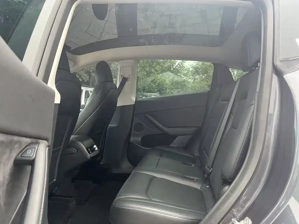 Tesla Model Y — миниатюра 6
