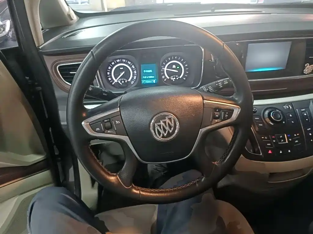 Buick GL8 — миниатюра 11