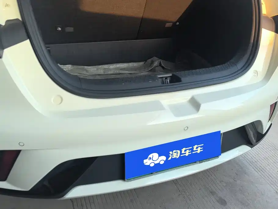 BYD Dolphin — миниатюра 4