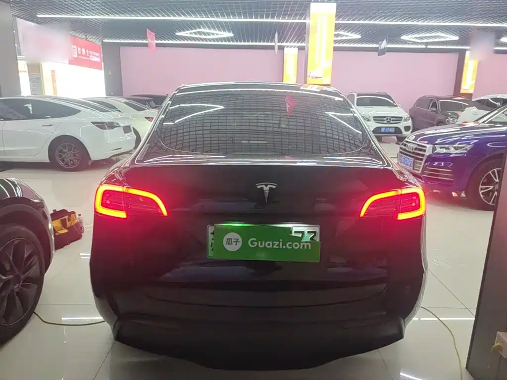 Tesla Model Y — миниатюра 6