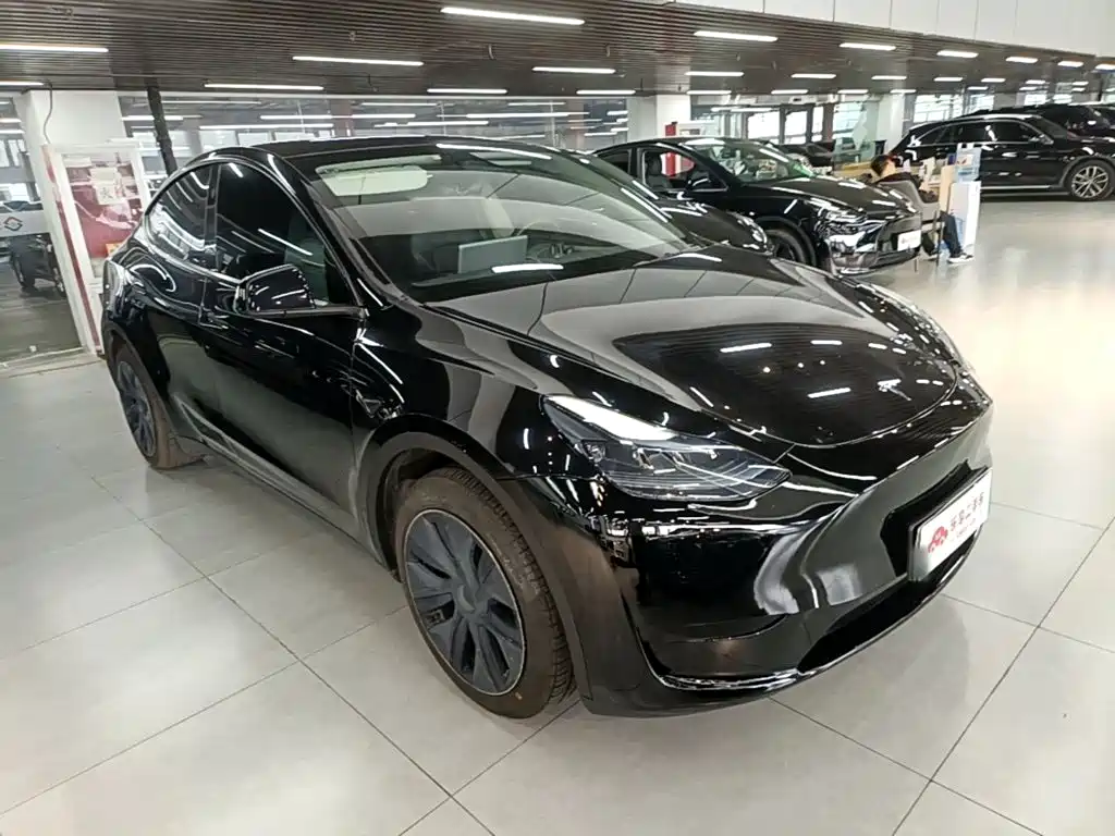 Tesla Model Y — миниатюра 4