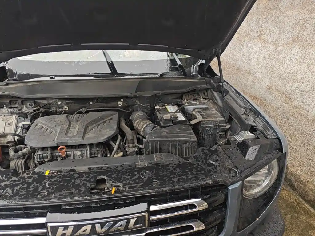 Haval Big Dog — миниатюра 20