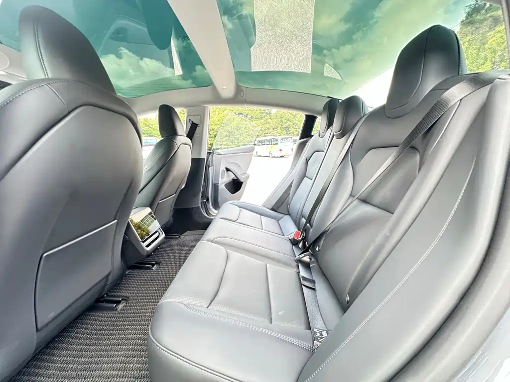 Tesla Model 3 — миниатюра 15