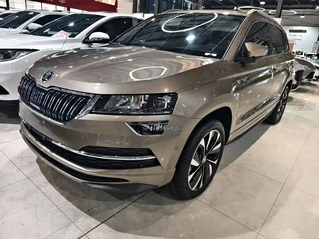 Skoda Karoq — миниатюра 5