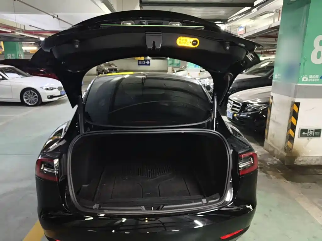 Tesla Model 3 — миниатюра 19