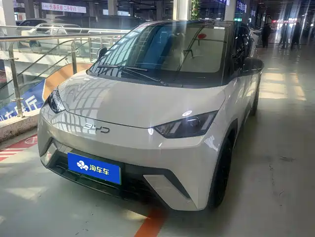 BYD SEAGULL 2024