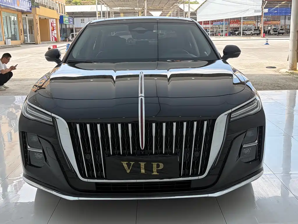 Hongqi Hongqi H5 2024