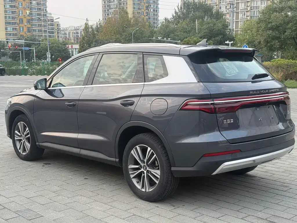 BYD Pro — миниатюра 6
