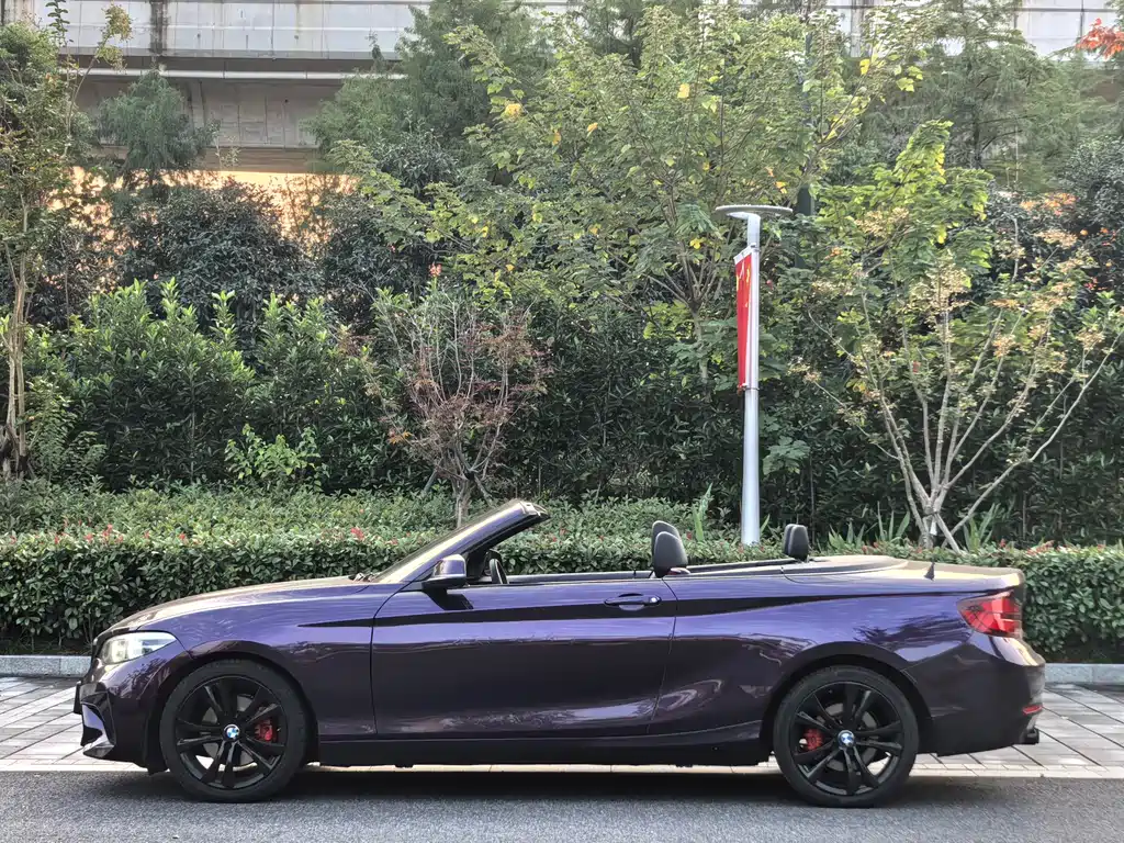 BMW 2 Series (Import) — миниатюра 7