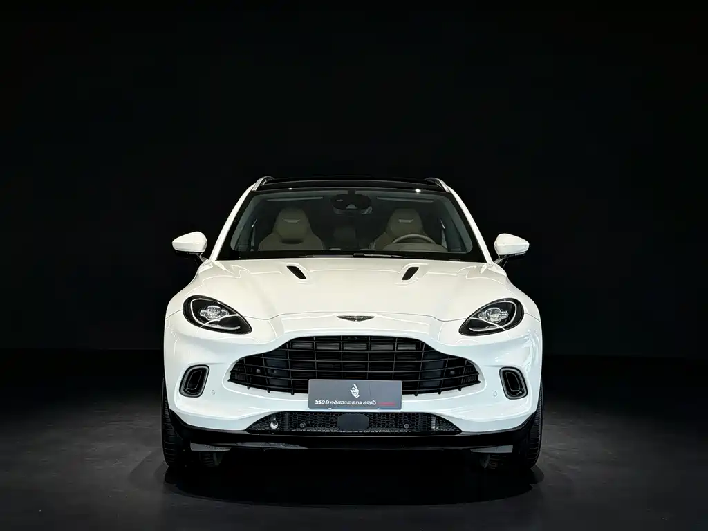 Aston Martin DBX — миниатюра 2