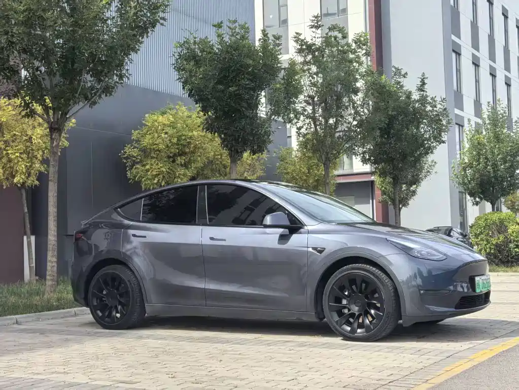 Tesla Model Y — миниатюра 2