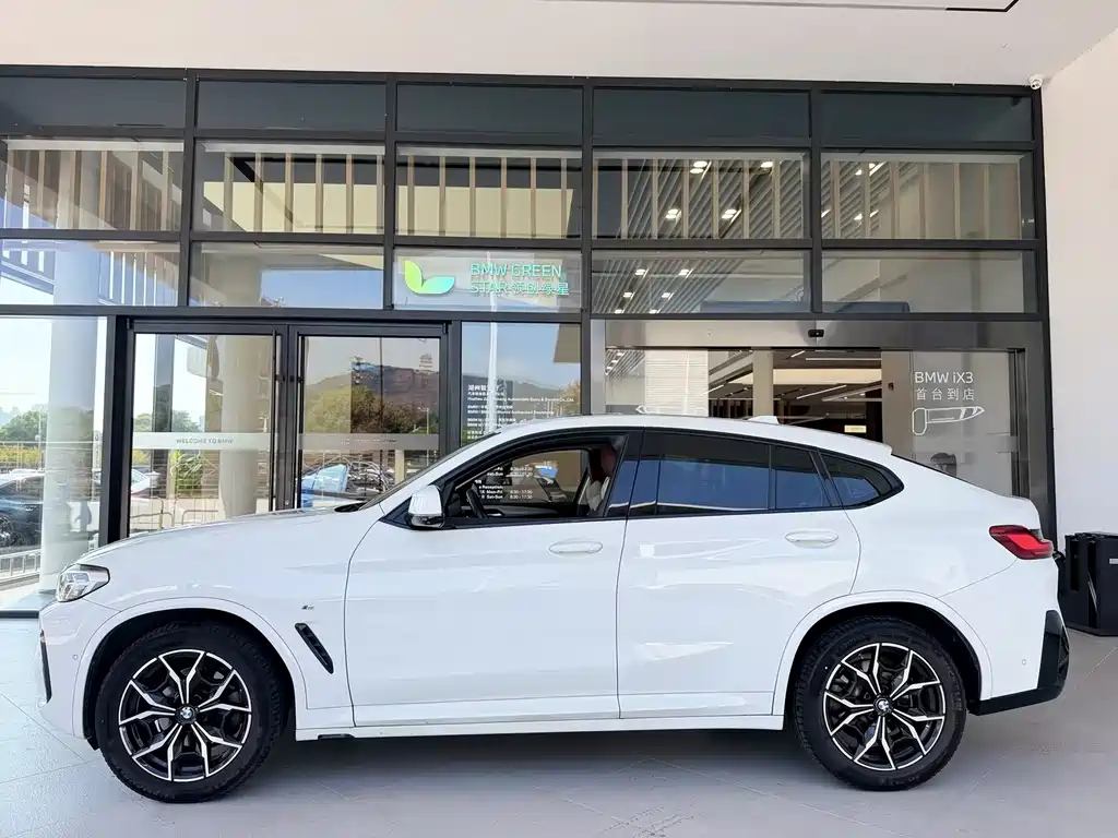 BMW X4 — миниатюра 3