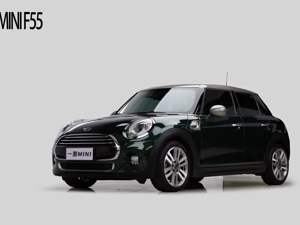 Mini Mini 2016