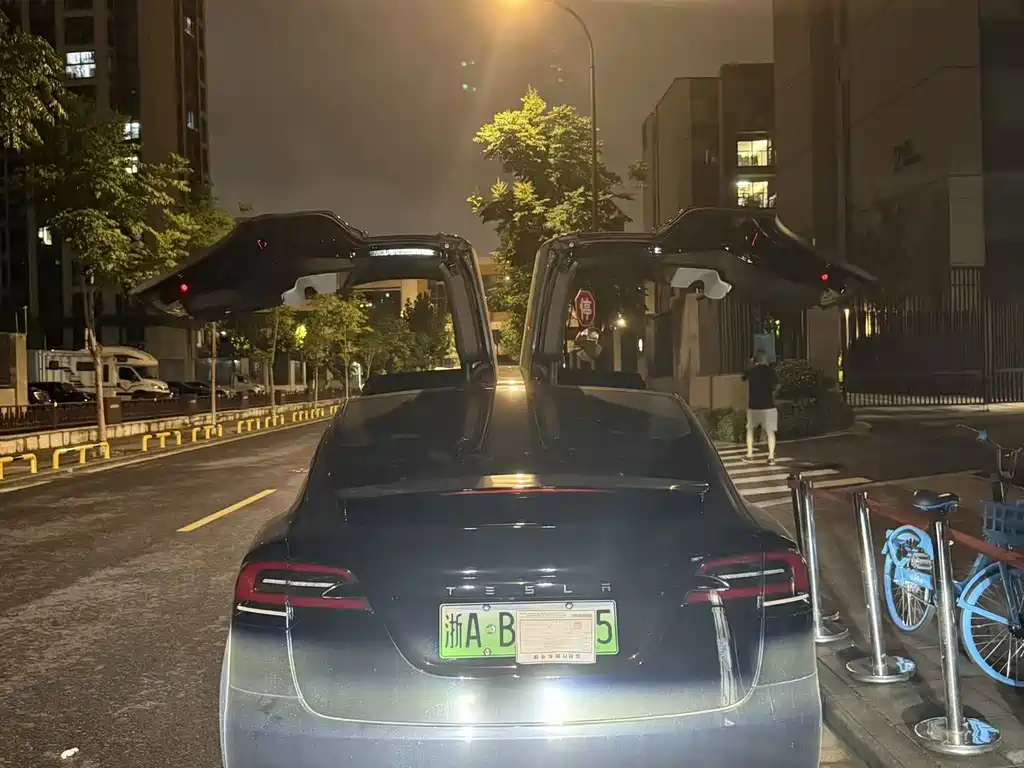 Tesla Model X — миниатюра 3