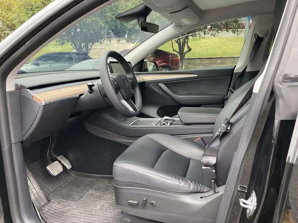 Tesla Model Y — миниатюра 4
