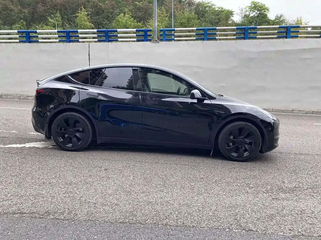 Tesla Model Y — миниатюра 14
